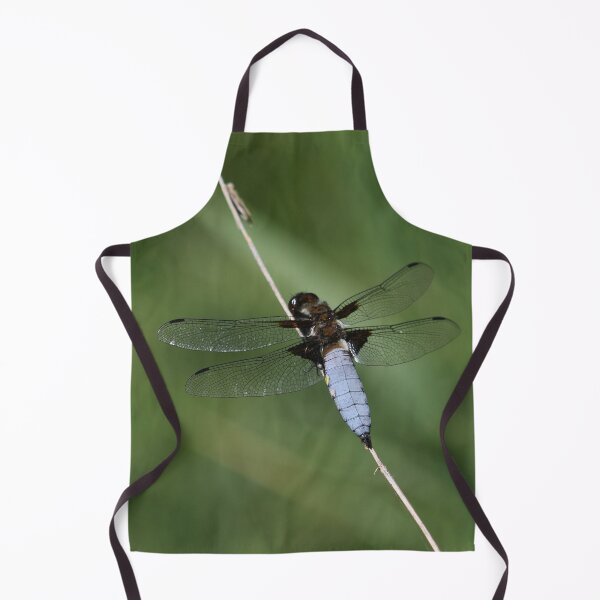 Item preview, Flat-bellied dragonfly designed and sold by NW-Photo-Art.