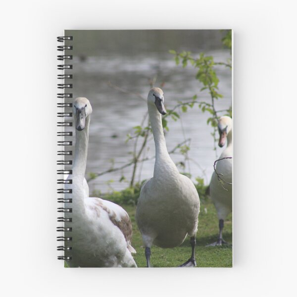 Item preview, A bevy of swans  designed and sold by Gaynor-dI.