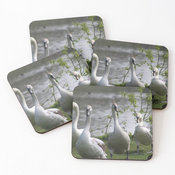 Item preview, A bevy of swans  designed and sold by Gaynor-dI.
