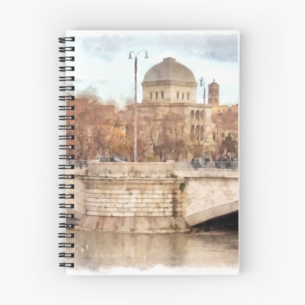 Item preview, Rome: Tiber River bridge and Synagogue designed and sold by Giuseppe Cocco.