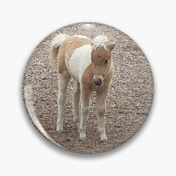 Item preview, Foals, ponies, children designed and sold by Sternchen2789.