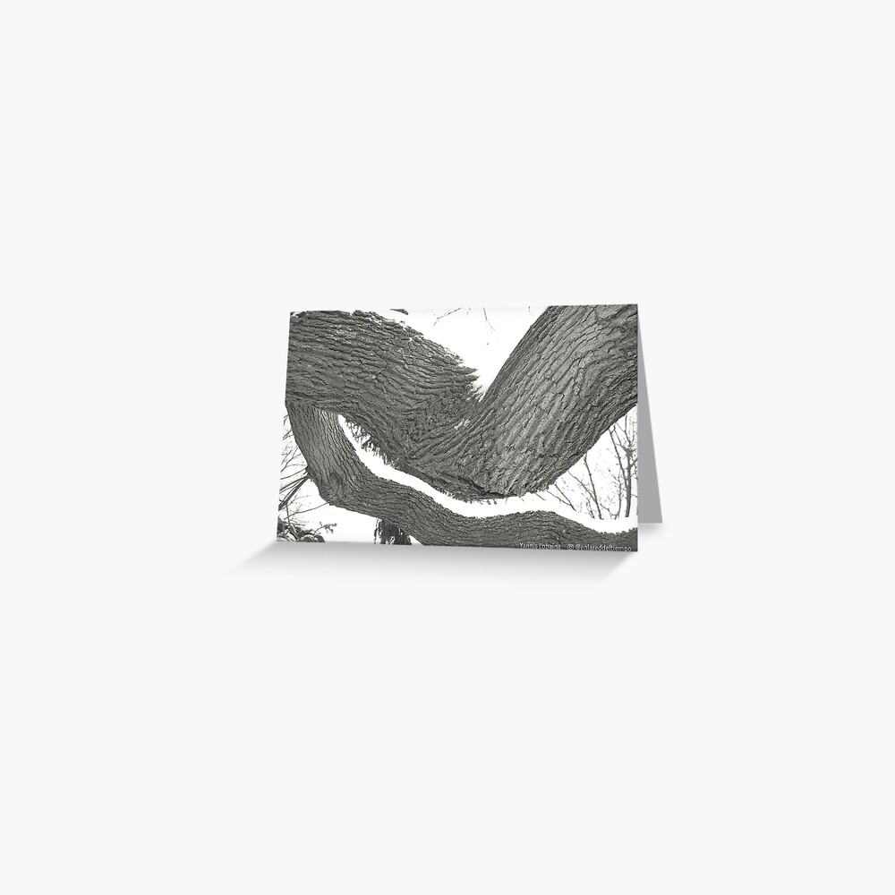 Solitude By Yannis Lobaina Greeting Card