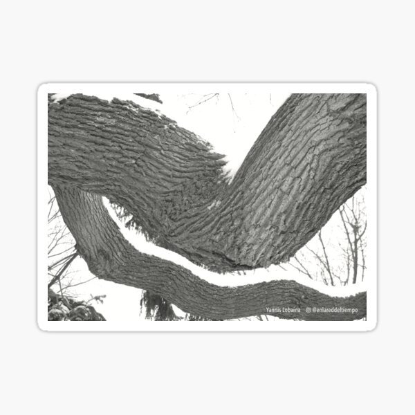 Solitude By Yannis Lobaina Sticker