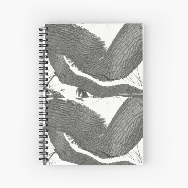 Solitude By Yannis Lobaina Spiral Notebook