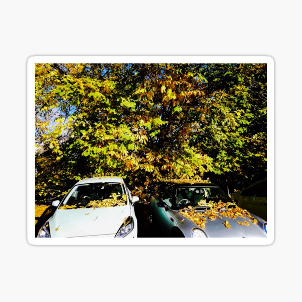 Parked cars in the autumn Sticker