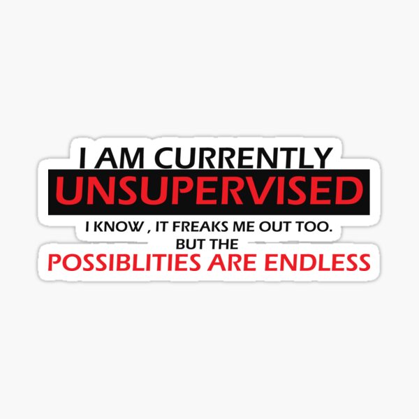 I Am Currently Unsupervised Stickers for Sale, Free US Shipping