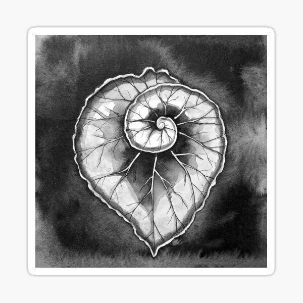 Begonia Leaf Drawing Sticker