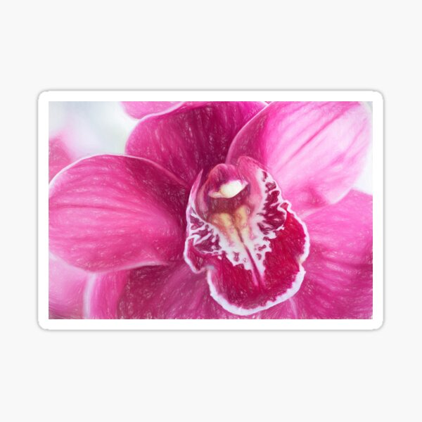 &ldquo;Purple Cymbidium Orchid Digital Art&rdquo; Sticker for Sale by daphsam