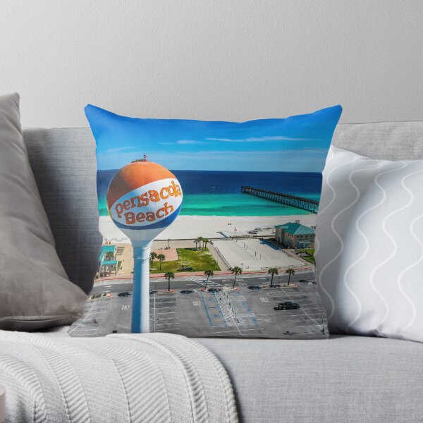 Osprey Perched on Beach Ball Throw Pillow