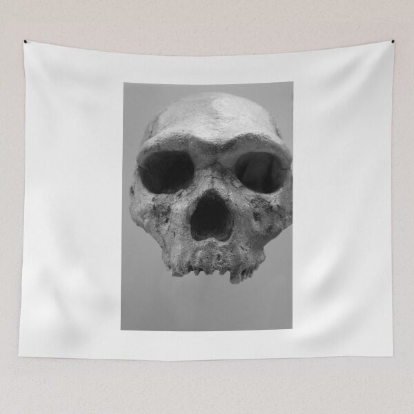 Item preview, Skull designed and sold by Paula Bielnicka.