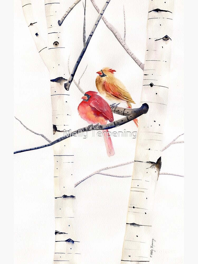 Cardinals and Birch Trees  Canvas Print for Sale by Melly Terpening