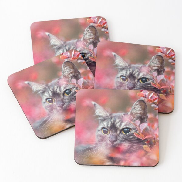 Item preview, Cute grey cat with red background outside designed and sold by Pokofoto.