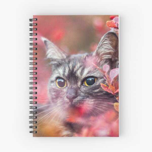 Item preview, Cute grey cat with red background outside designed and sold by Pokofoto.