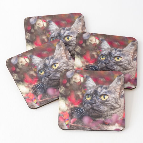 Item preview, Cute grey cat with red background outside  designed and sold by Pokofoto.