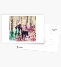 Bull Moose Postcards