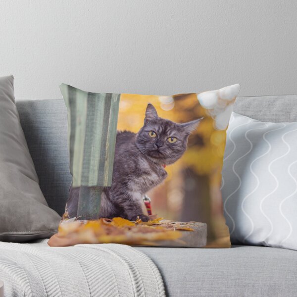 Item preview, Cute grey cat behind a green fence designed and sold by Pokofoto.