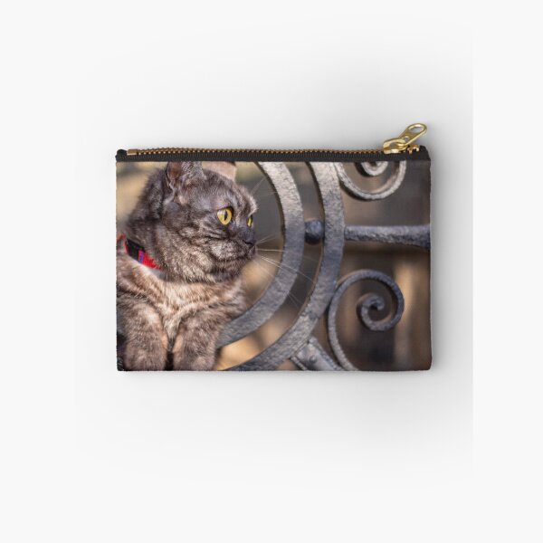 Item preview, Cute grey cat in a metal gate circle designed and sold by Pokofoto.