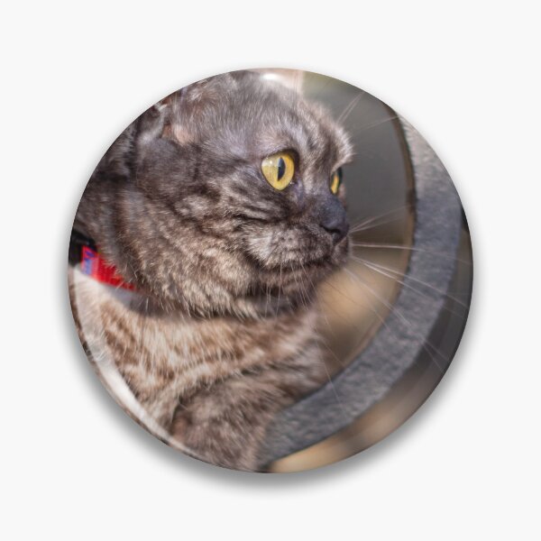 Item preview, Cute grey cat in a metal gate circle designed and sold by Pokofoto.