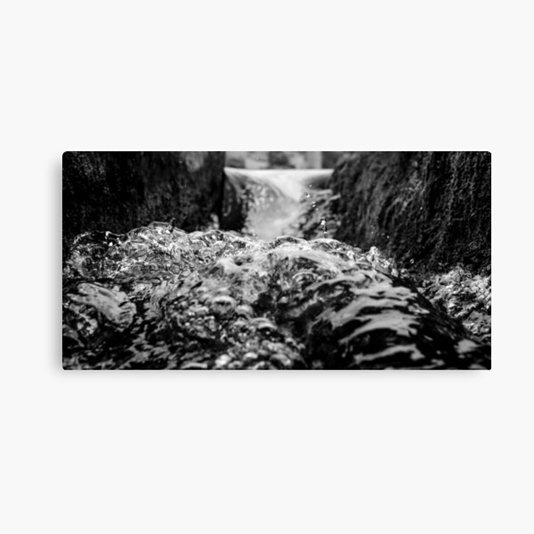 Rapid Transitions Canvas Print