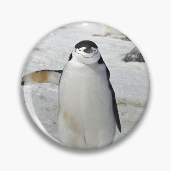 Item preview, Chinstrap Penguin  ~  "Traffic Cop on Point Duty" designed and sold by Robert Elliott.