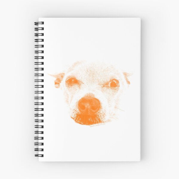 Aperçu de l'œuvre Chihuahua orange créée et vendue par Caroline Chatfield.