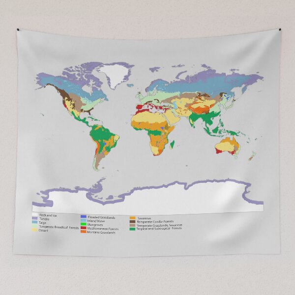 Item preview, World map of coverage the main biomes in the world Terrestrial ecosystem world map biome designed and sold by mashmosh.