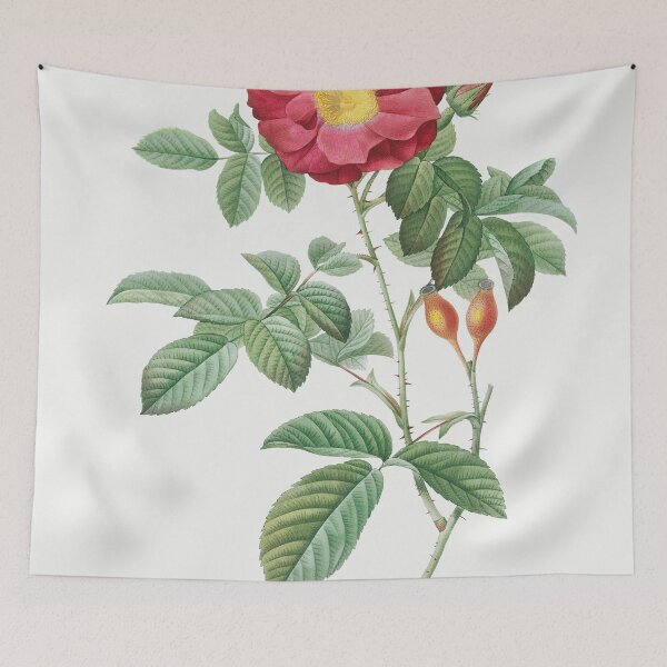 Item preview, Les Roses by Pierre-Joseph Redouté designed and sold by EsotericBotanic.