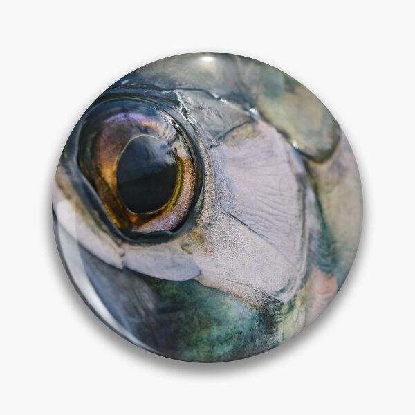 Item preview, Tarpon Eye designed and sold by jonesing.