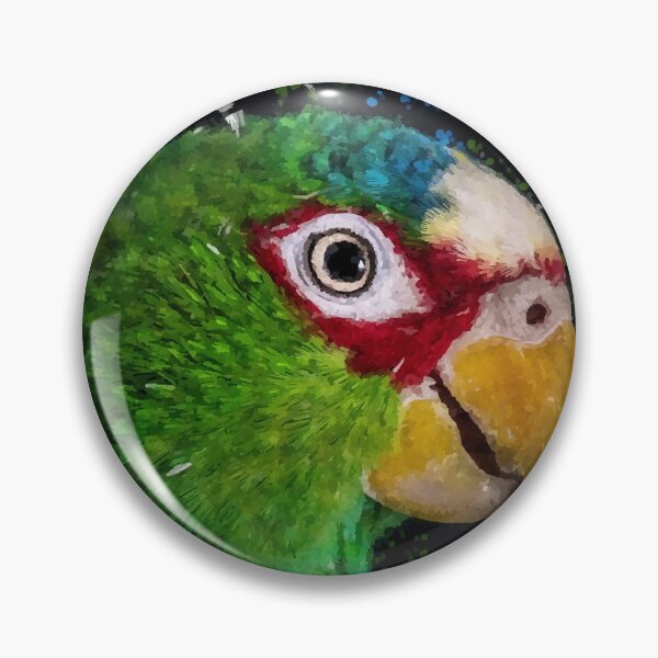Item preview, Parrot designed and sold by James DeFazio.