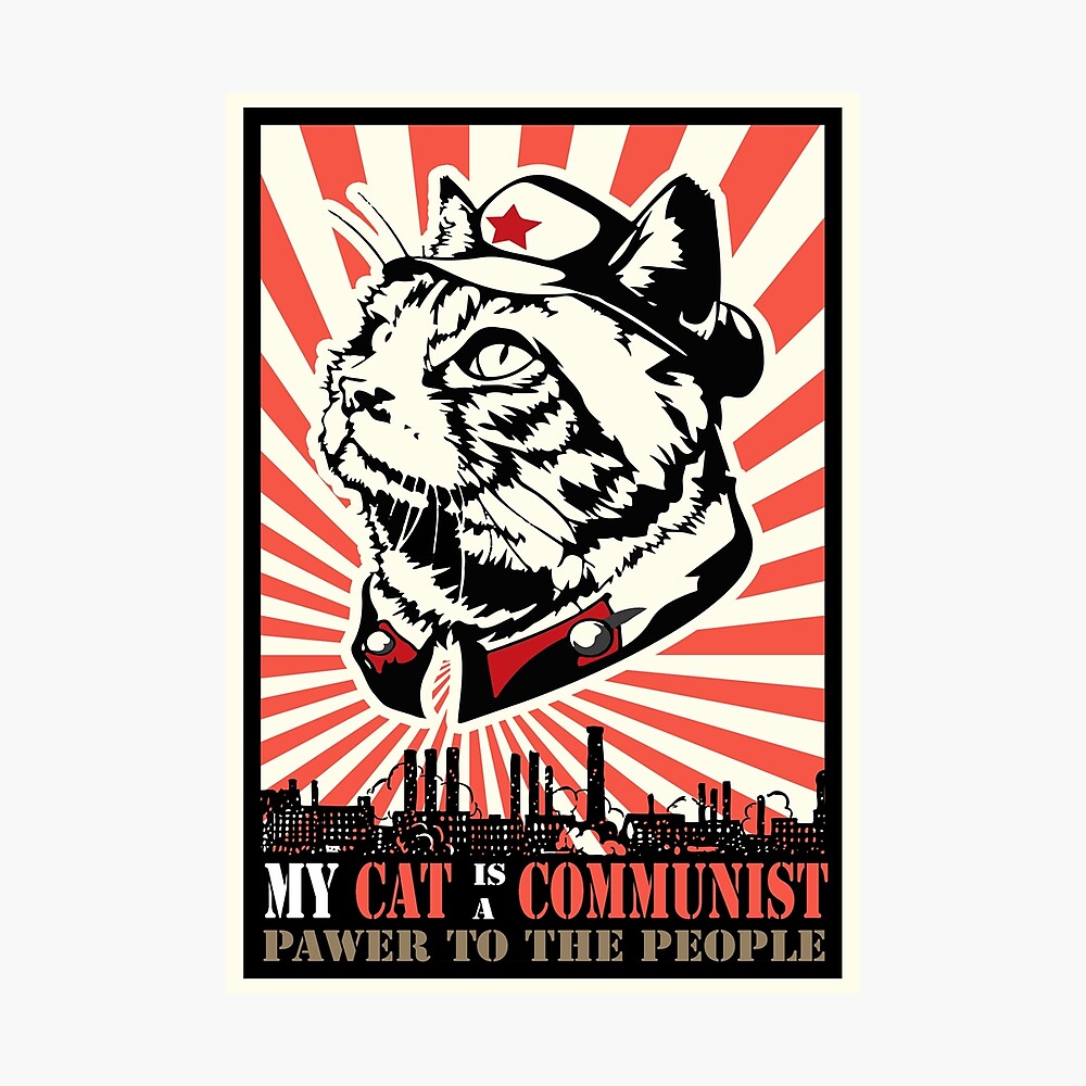 pp,840x830-pad,1000x1000,f8f8f8.jpg