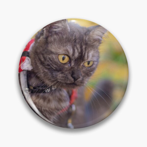 Item preview, cute grey cat holding a tree designed and sold by Pokofoto.