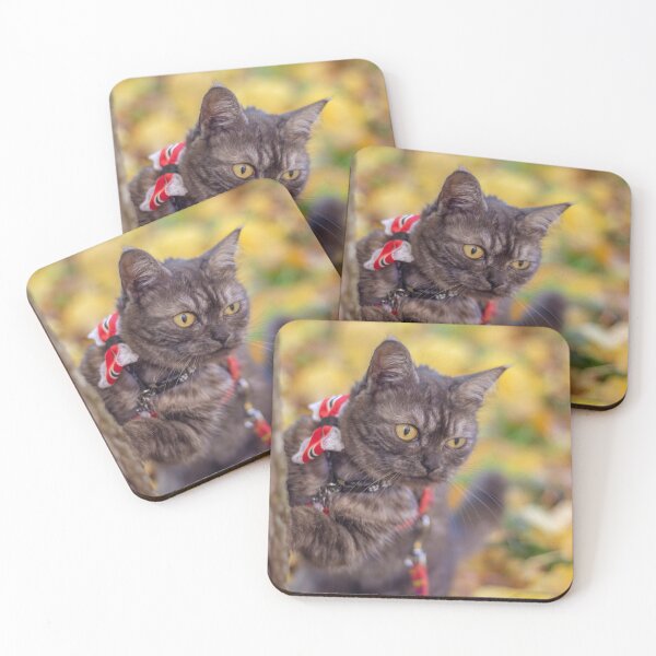 Item preview, cute grey cat holding a tree designed and sold by Pokofoto.