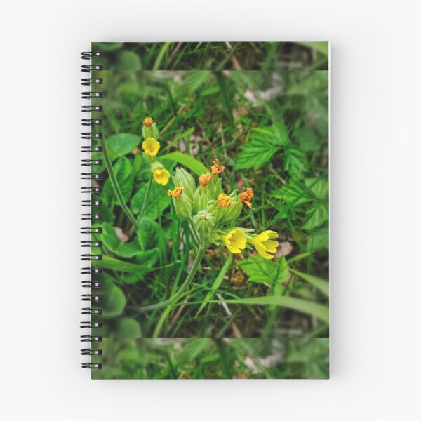 Item preview, Cowslip designed and sold by Hazel Meades.