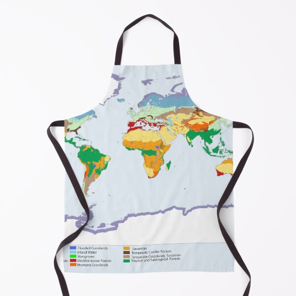 Item preview, World map of coverage the main biomes in the world with international boundaries designed and sold by mashmosh.