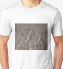 Ripened Barley Unisex T-Shirt