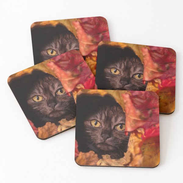 Item preview, cute grey cat in an autumn box designed and sold by Pokofoto.