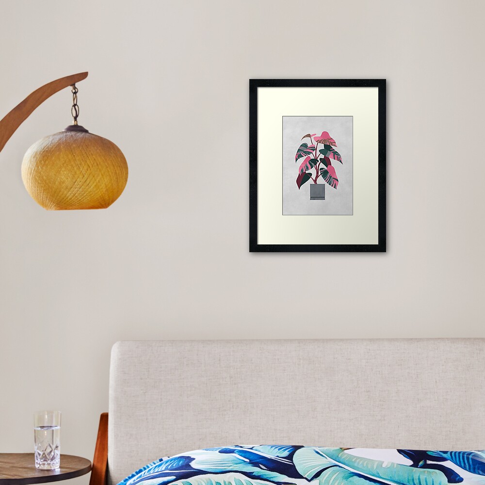 Philodendron pink princess Framed Art Print