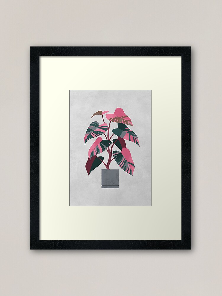 Alternate view of Philodendron pink princess Framed Art Print
