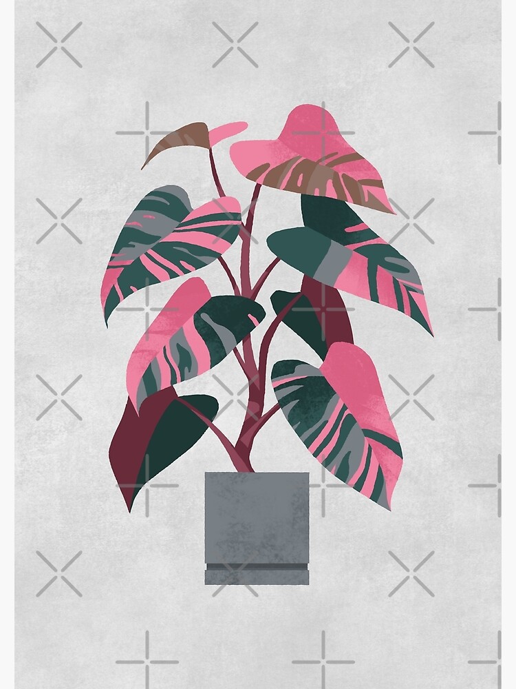 Philodendron pink princess by ikerpazstudio
