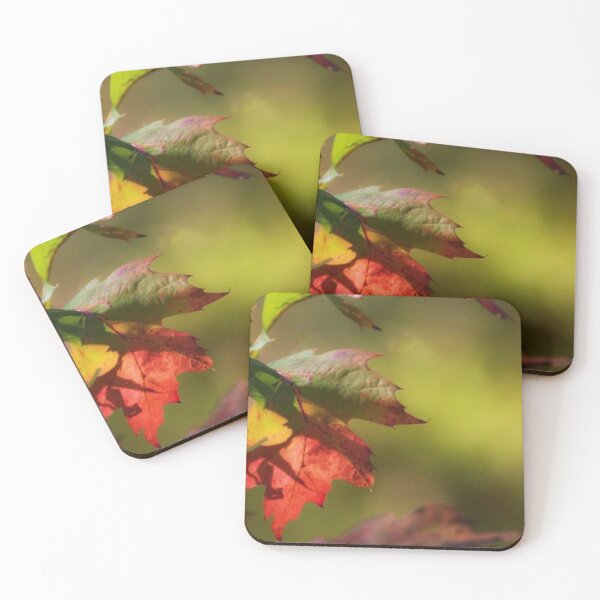 Item preview, Rainbow Leaf designed and sold by passion4photos.