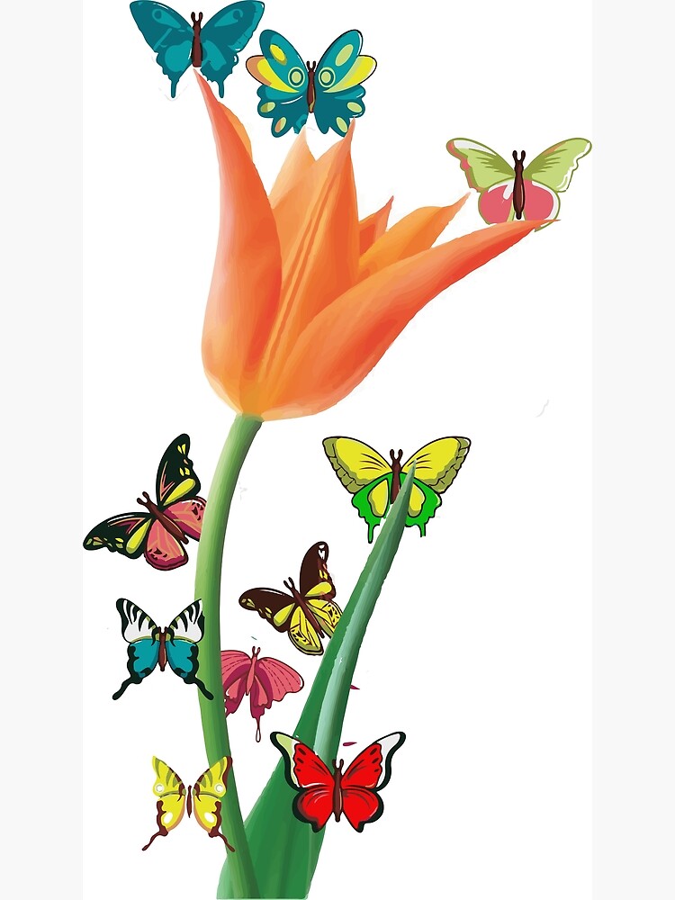 butterfliee and tulip flower, butterfly lovers, tuplic flower lovers