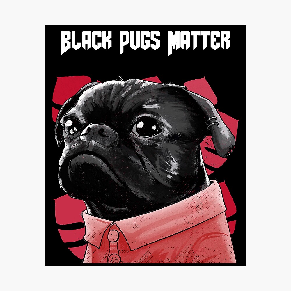 Black Pugs ubicaciondepersonas.cdmx.gob.mx