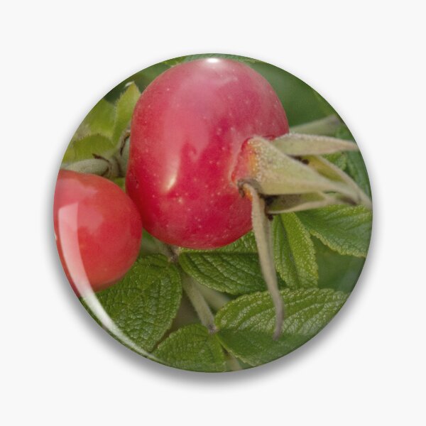 Item preview, A Pair of Rose Hips designed and sold by Gerda Grice Photography.