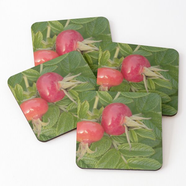 Item preview, A Pair of Rose Hips designed and sold by Gerda Grice Photography.