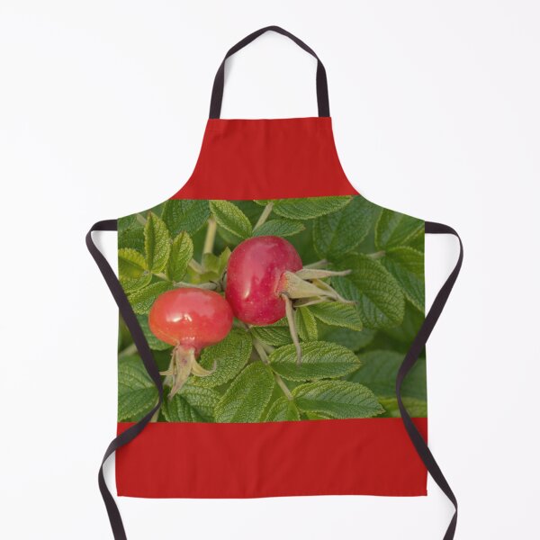 Item preview, A Pair of Rose Hips designed and sold by Gerda Grice Photography.