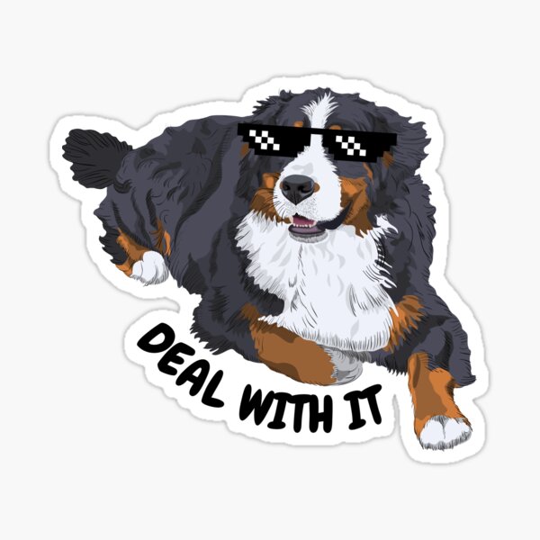 Funny Bernese Meme - Deal With It Sticker