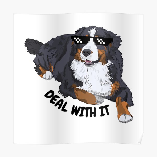 Funny Bernese Meme - Deal With It Poster