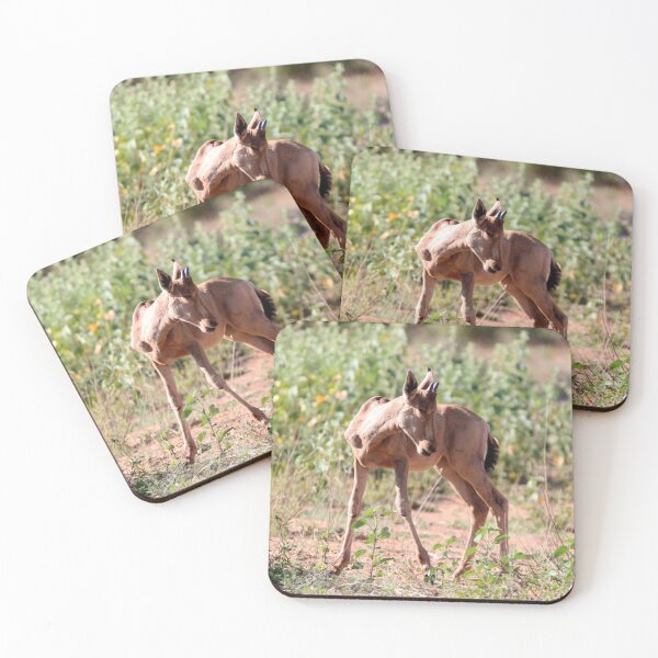 Item preview, Hartebeest Baby designed and sold by Samantha Bailey.