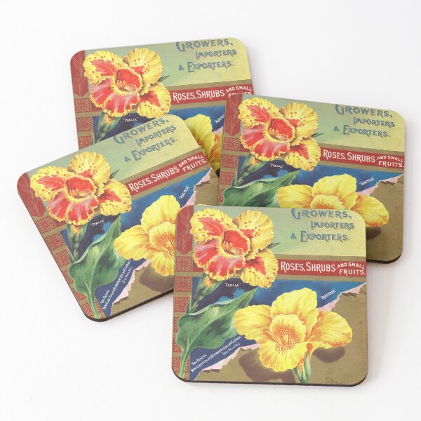 Item preview, Canna flowers - Steele, Briggs Seed Co. 1898. designed and sold by killies.