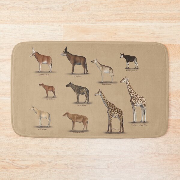 Item preview, Giraffidae- giraffe, okapi, and their extinct relatives. designed and sold by synapsid.